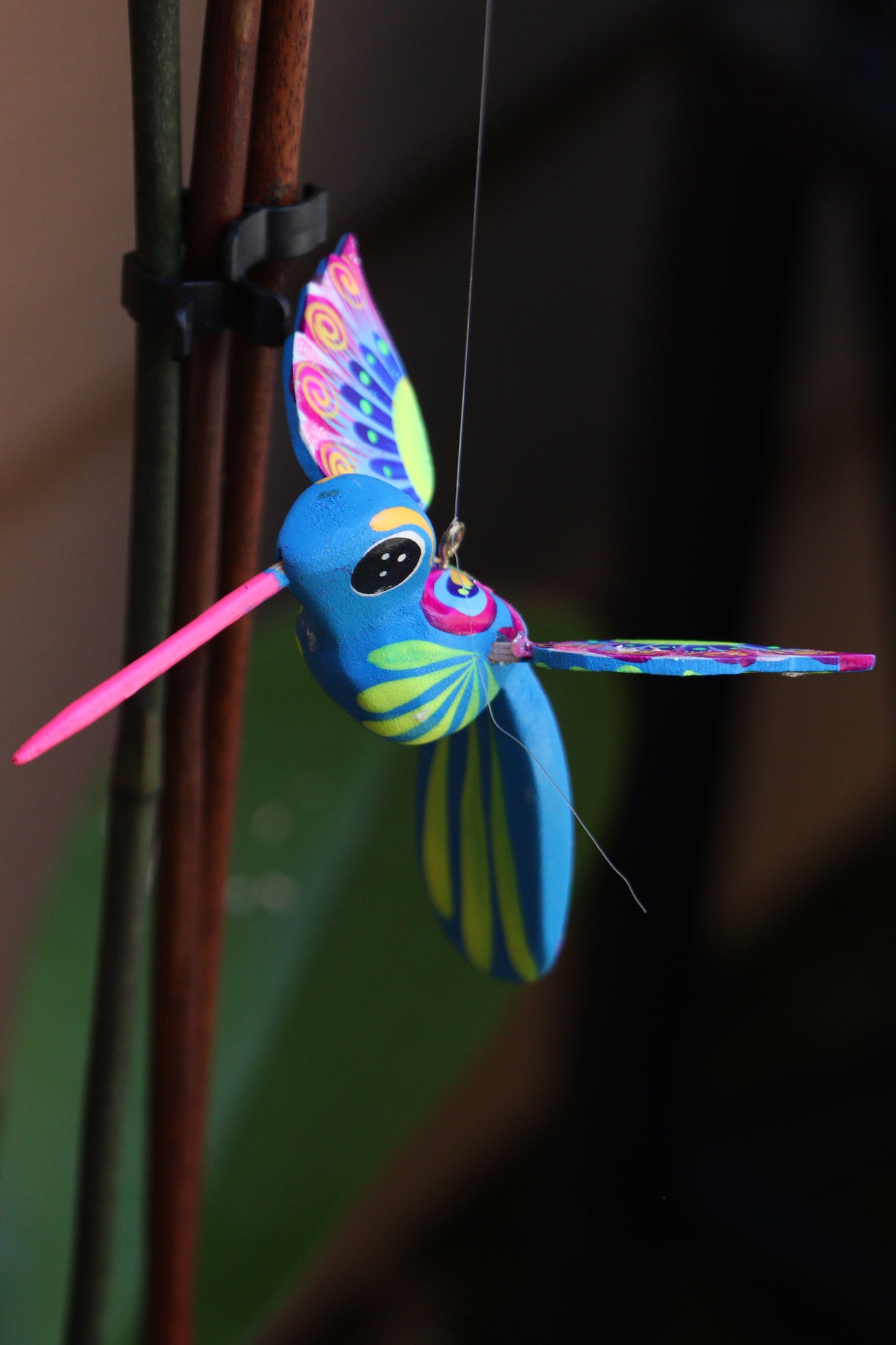 Pajarito Colibri