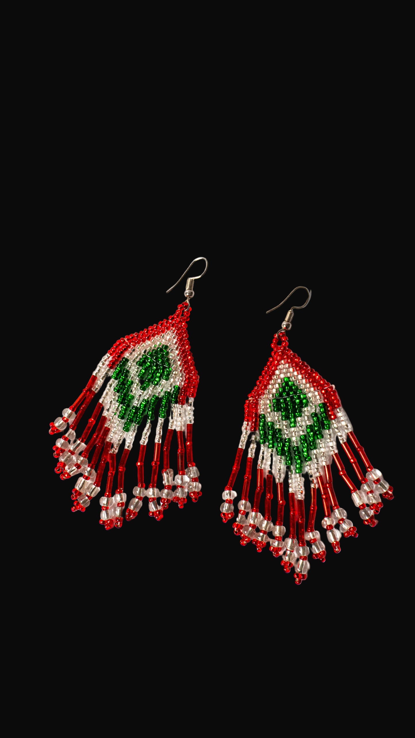 Viva Mexico Beaded Earring
