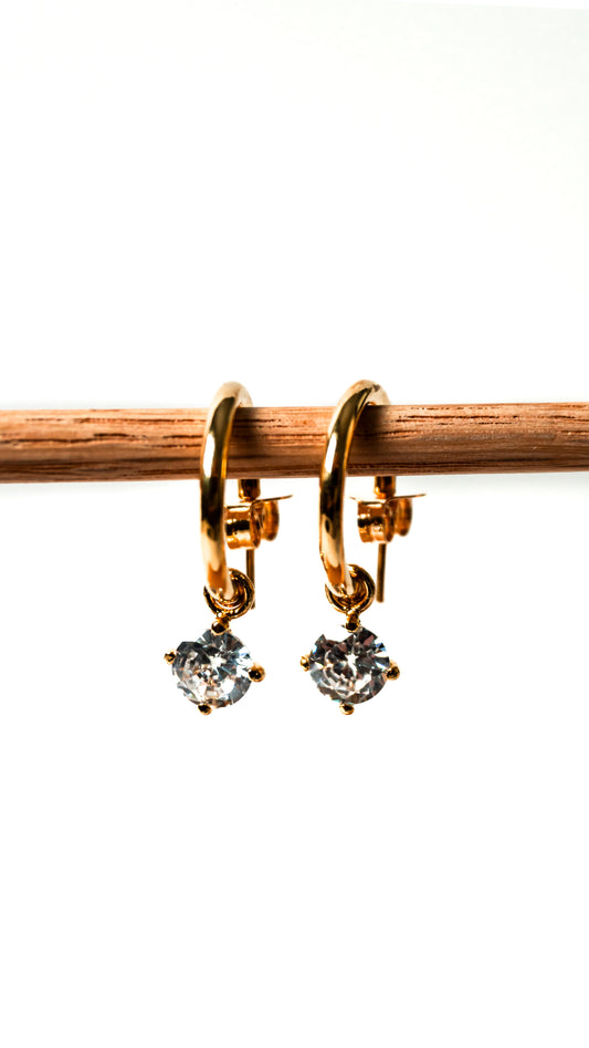 Gold Hoop Earrings